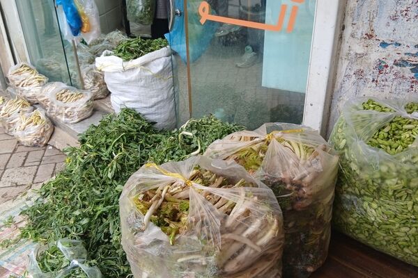 عطر بهار در کوهستان های تویسرکان؛ رویش سبزیجات