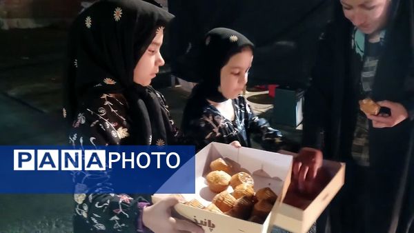 خدمات‌رسانی موکب‌های یاسوج به عزاداران حسینی در معابر و مساجد شهر