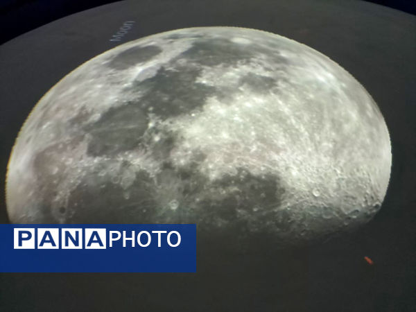 بازدید دانش‌آموزان مدرسه شهدای غزه (1) قم از نمایشگاه تاکسیدرمی کانون پردیسان