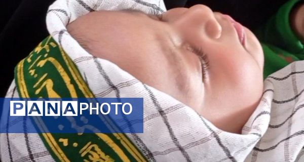 سوگواره شیر خوارگان حسینی در تازیان پایین