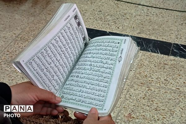 ویژه برنامه «شمین رضوی» در شهر بن 
