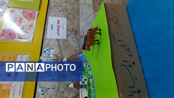 نمایشگاه هفته پژوهش در دبستان شاهد تحقیقی ناحیه ۶ مشهد مقدس