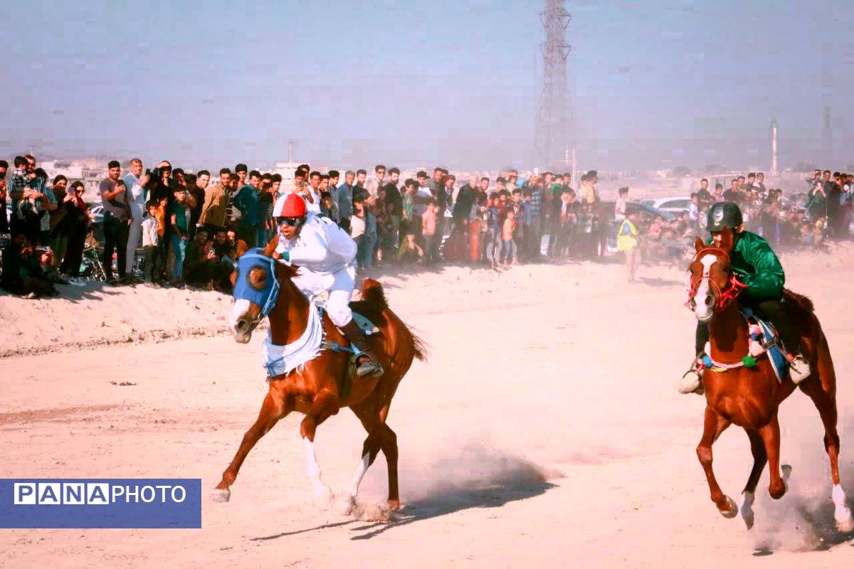 دومین دوره مسابقات اسب‌دوانی استان‌های جنوبی کشور در بندرپل