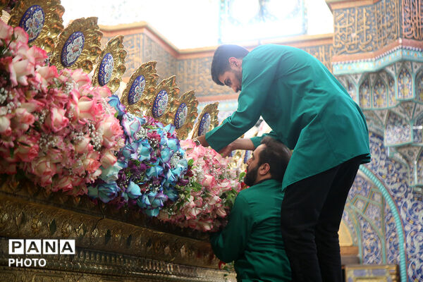 گل آرایی ضریح مطهر حضرت معصومه(س) در شب میلاد امام رضا(ع)