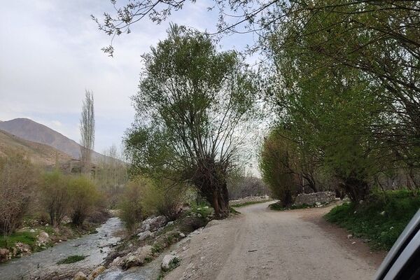 شهر بار نگین سبز خراسان رضوی میزبان فصل بهار 