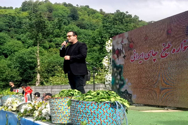 جشنواره‌ای با طعم چای بهاره گیلان