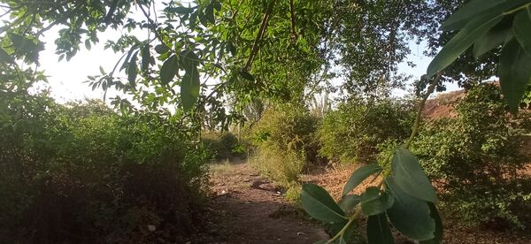 مزار گردشگری کلاته بایزید، گوهر پنهان طبیعت در دل کوهستان 