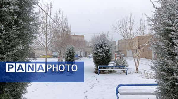 بارش نعمت الهی برف در شهرستان زیبای نیشابور 