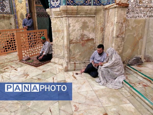 حرم حضرت معصومه(س) در آستانه عید غدیر