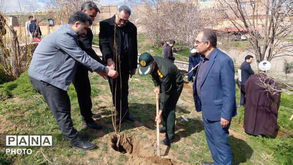 غرس نهال مثمر در کانون فرهنگی هنری شهید فهمیده مرند 