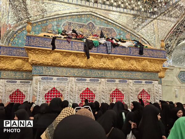 جایی که دل‌ها آرام می‌گیرد؛ گذری به روایت تصویر از آستان مقدس علوی تا حریم امن حسینی