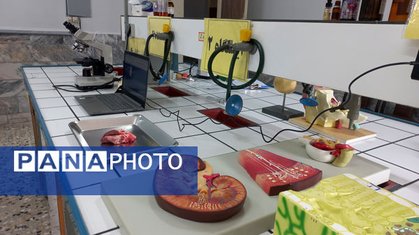 مسابقات علمی علوم تجربی در پژوهش سرای رازی مشهد 