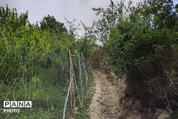 آلبوم تصویری از طبیعت زیبای شهر بار در اردیبهشت‌ماه  ۱۴۰۵ـ۲