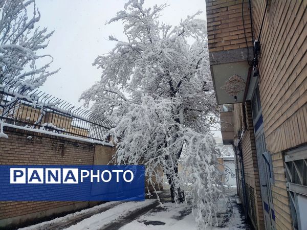 جلوه های زیبا از بارش برف در شهرستان نیشابور 