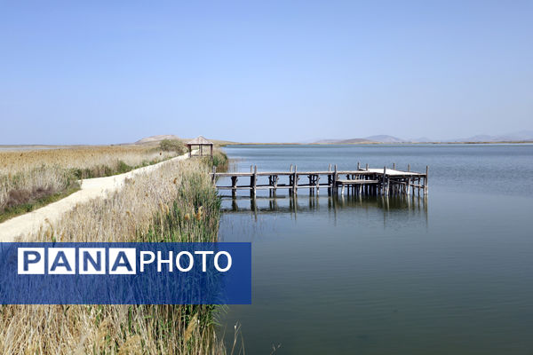 تور رسانه‌ای بازدید از تالاب‌های حوضه آبریز دریاچه ارومیه