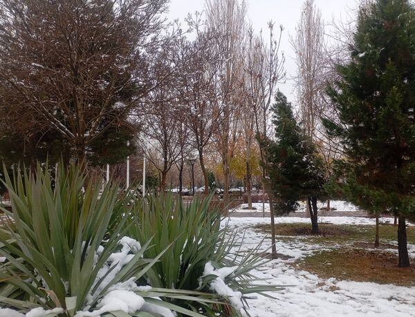 بارش برف در شهر زیبای مشهد 