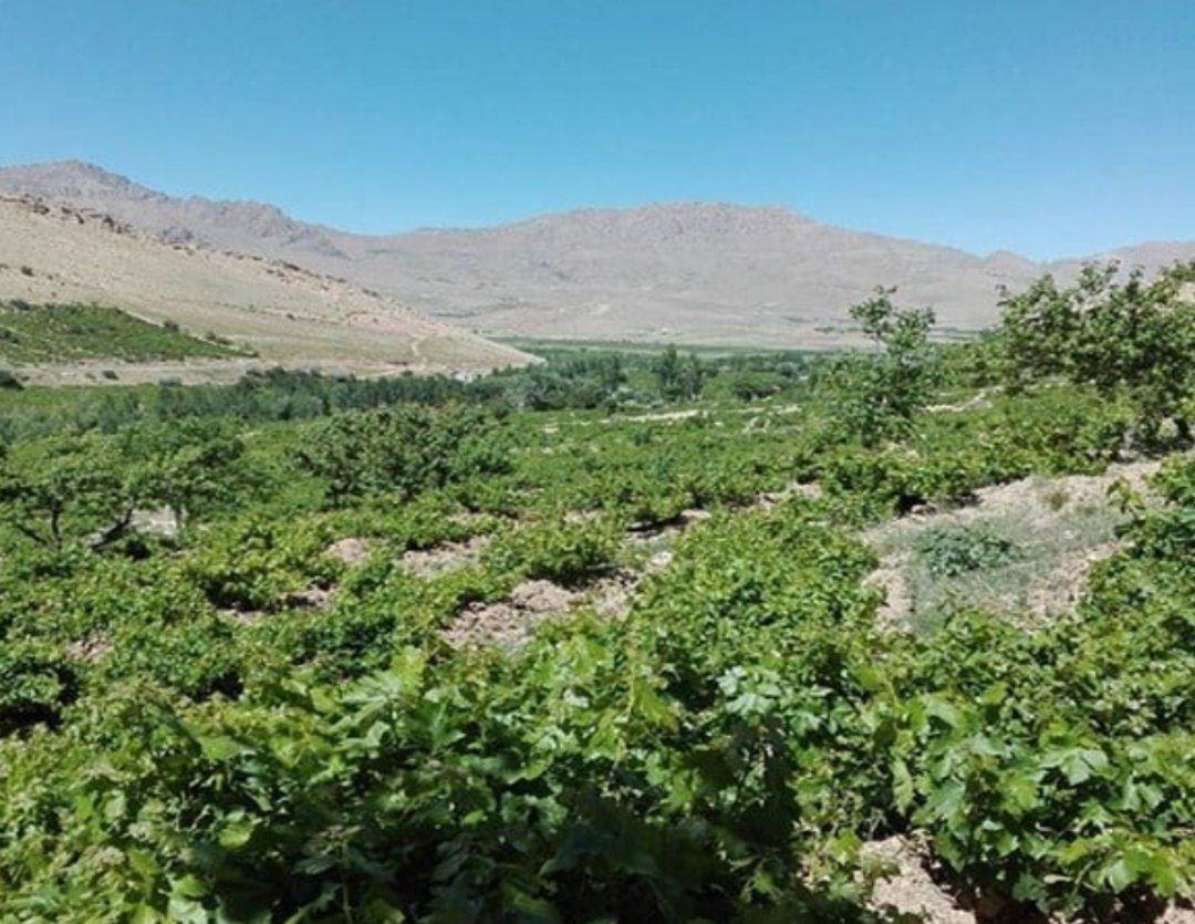 گهرو؛گنجینه ای از تاریخ و طبیعت در نگاه خبرنگار پانا