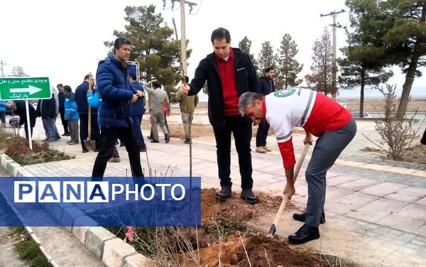 روز درختکاری در تربت جام