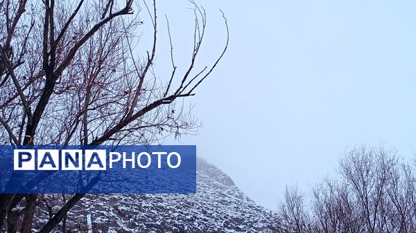 گرداب بن زیر چتر سپید برف