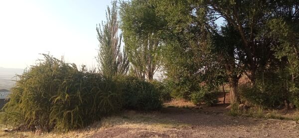 مزار گردشگری کلاته بایزید، گوهر پنهان طبیعت در دل کوهستان 