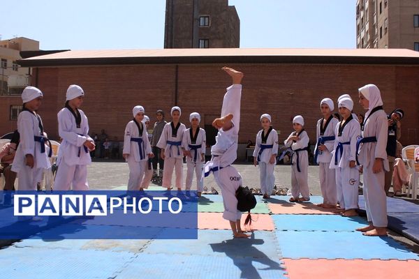 کلید خوردن طرح ملی «میدان پویا» در بهارستان‌دو