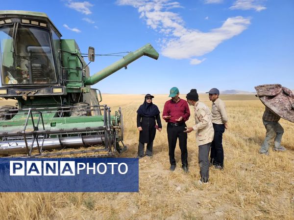 بازدید برداشت گندم در شهرستان فاروج
