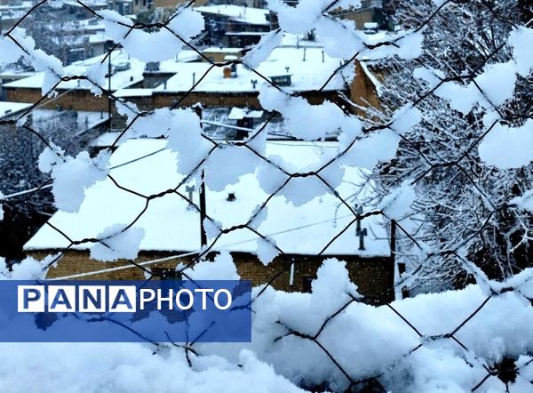 میانکوه در تسخیر برف 