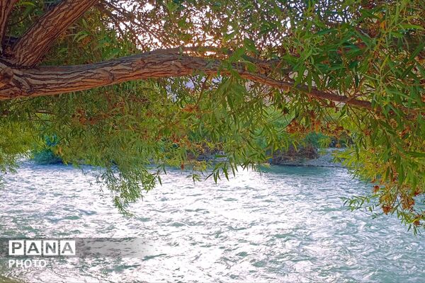 روستای کتا؛ نگینی در دل طبیعت بکر شهرستان فلارد