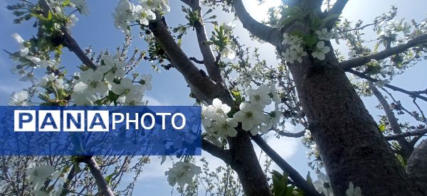 طبیعت بی نظیر روستا سربالا بهترین گزینه برای طبیعتگردی در فصل بهار