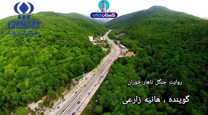 ناهارخوران؛ تپش سبز ایران در قلب گلستان