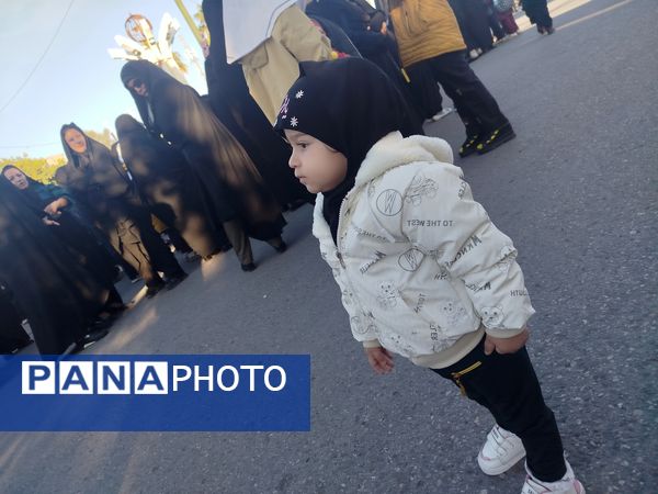 لاله‌های سرخ فاطمی به پلدختر رسیدند 