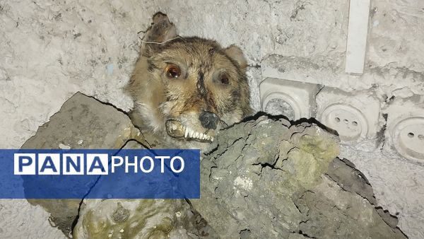 بازدید دانش‌آموزان ناحیه یک مشهد از پژوهش‌سرای علامه طباطبایی