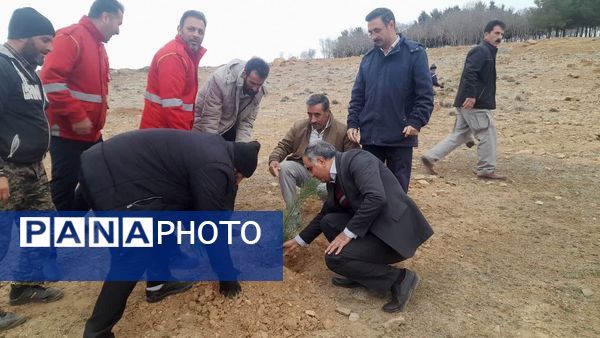 پویش درختکاری «جان ایران» در سلسله