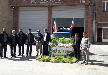 جمع آوری سبزه های نوروزی توسط همیاران طبیعت