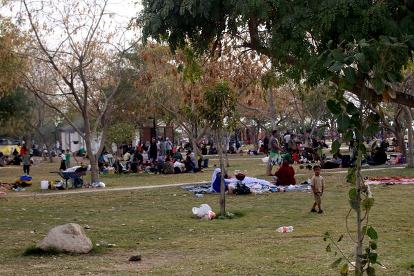 روز طبیعت در بوشهر