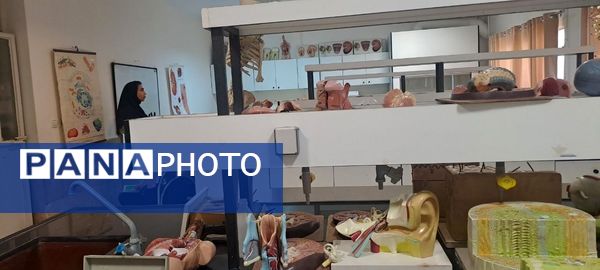 برگزاری شروع کلاس‌های پژوهش‌سرای ملاصدرای ناحیه 4 کرج