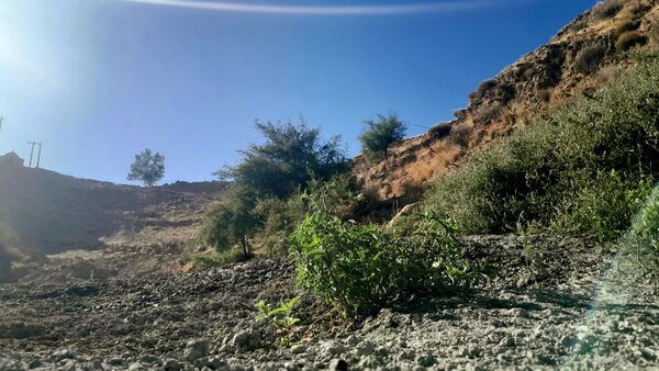روستای برد‌زرد نگینی غریب در شهرستان لنده
