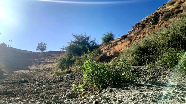 روستای برد‌زرد نگینی غریب در شهرستان لنده