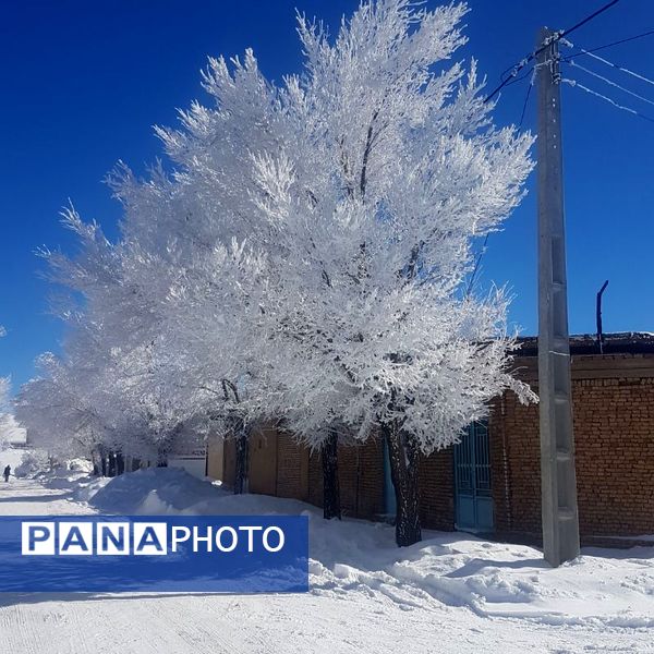 عروس فصل‌ها باری دیگر مهمان شهرستان بن