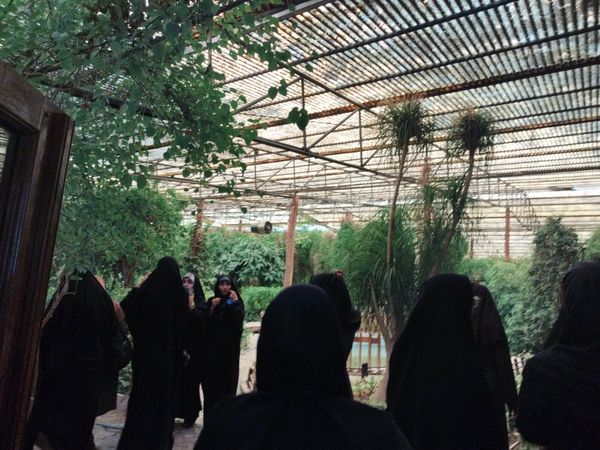 اردوی علمی تفریحی خبرنگاران پانای استان اصفهان