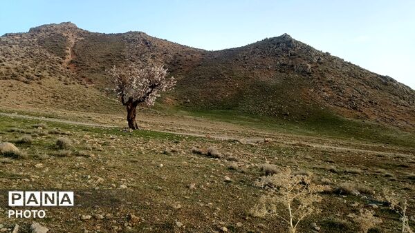 دالان بهشت شهر گهرو ؛نگین گردشگری منطقه