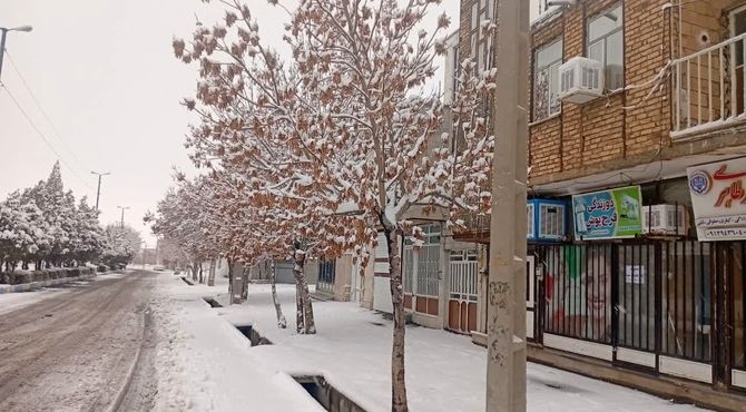 شازند سفیدپوش شد