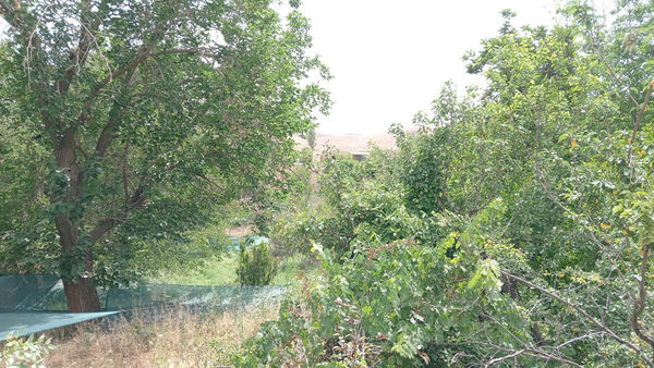 جلوه‌هایی از طبیعت تابستانی خلجستان و جعفرآباد قم