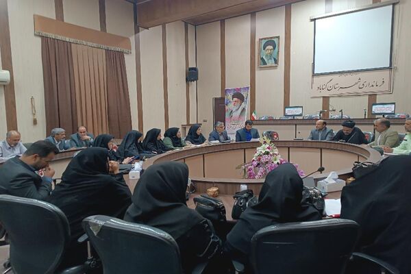 نشست بررسی چالش‌های آسیب‌های اجتماعی در گناباد