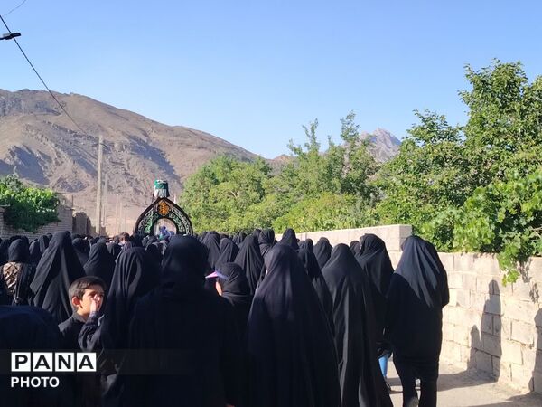 نخل‌برداری روز عاشورا در روستای صالح آباد شهرستان تفت