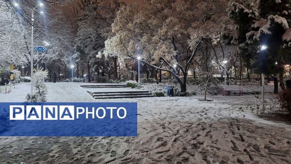 پارک‌های شهر مشهد در آغوش برف