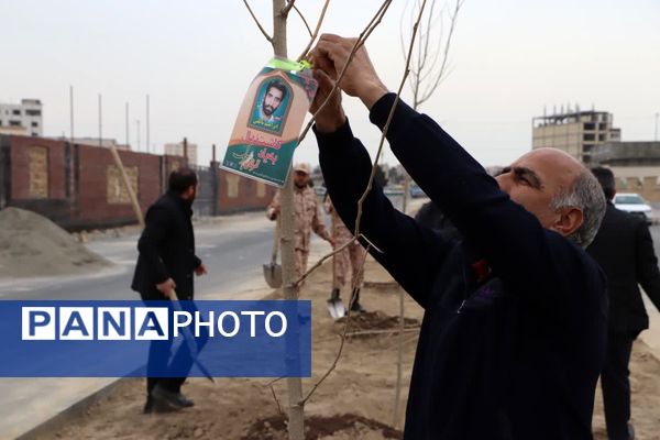 کاشت درخت به یاد شهدا در محمدشهر 