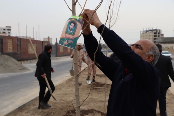 کاشت درخت به یاد شهدا در محمدشهر 