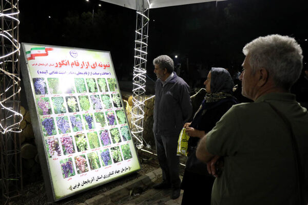 هشتمین جشنواره انگور ارومیه
