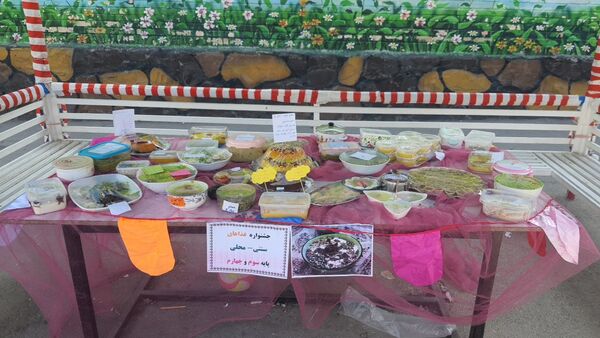 برگزاری اردوی درون مدرسه‌ای و جشنواره غذا در دبستان شاهد تحقیقی ناحیه ۶